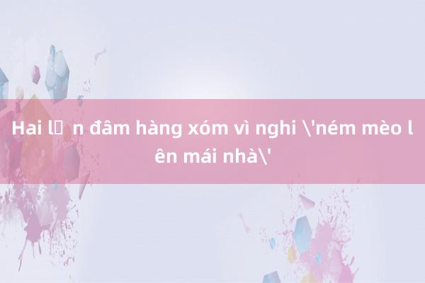 Hai lần đâm hàng xóm vì nghi 'ném mèo lên mái nhà'