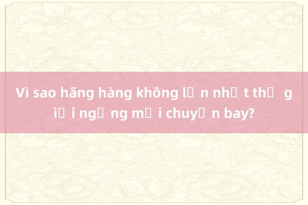 Vì sao hãng hàng không lớn nhất thế giới ngừng mọi chuyến bay?