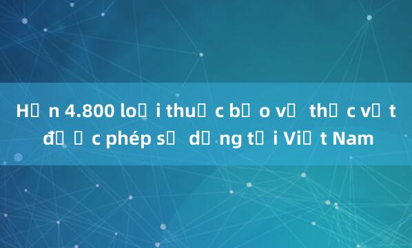 Hơn 4.800 loại thuốc bảo vệ thực vật được phép sử dụng tại Việt Nam