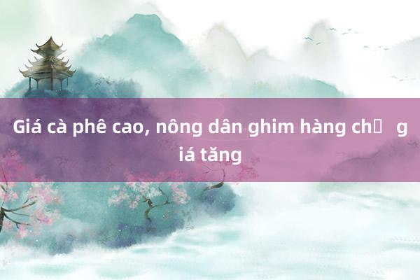 Giá cà phê cao， nông dân ghim hàng chờ giá tăng