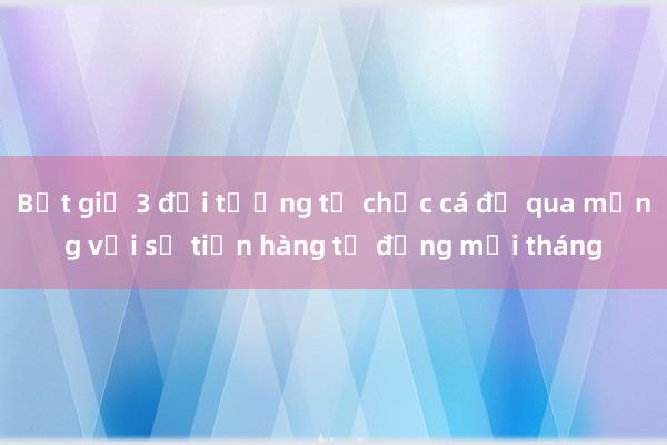 Bắt giữ 3 đối tượng tổ chức cá độ qua mạng với số tiền hàng tỉ đồng mỗi tháng